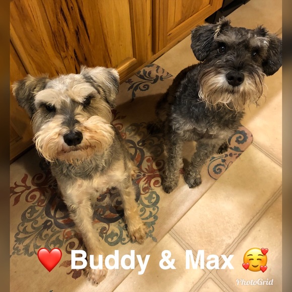 Meet your Posher, Ellen - Picture 1 of 1